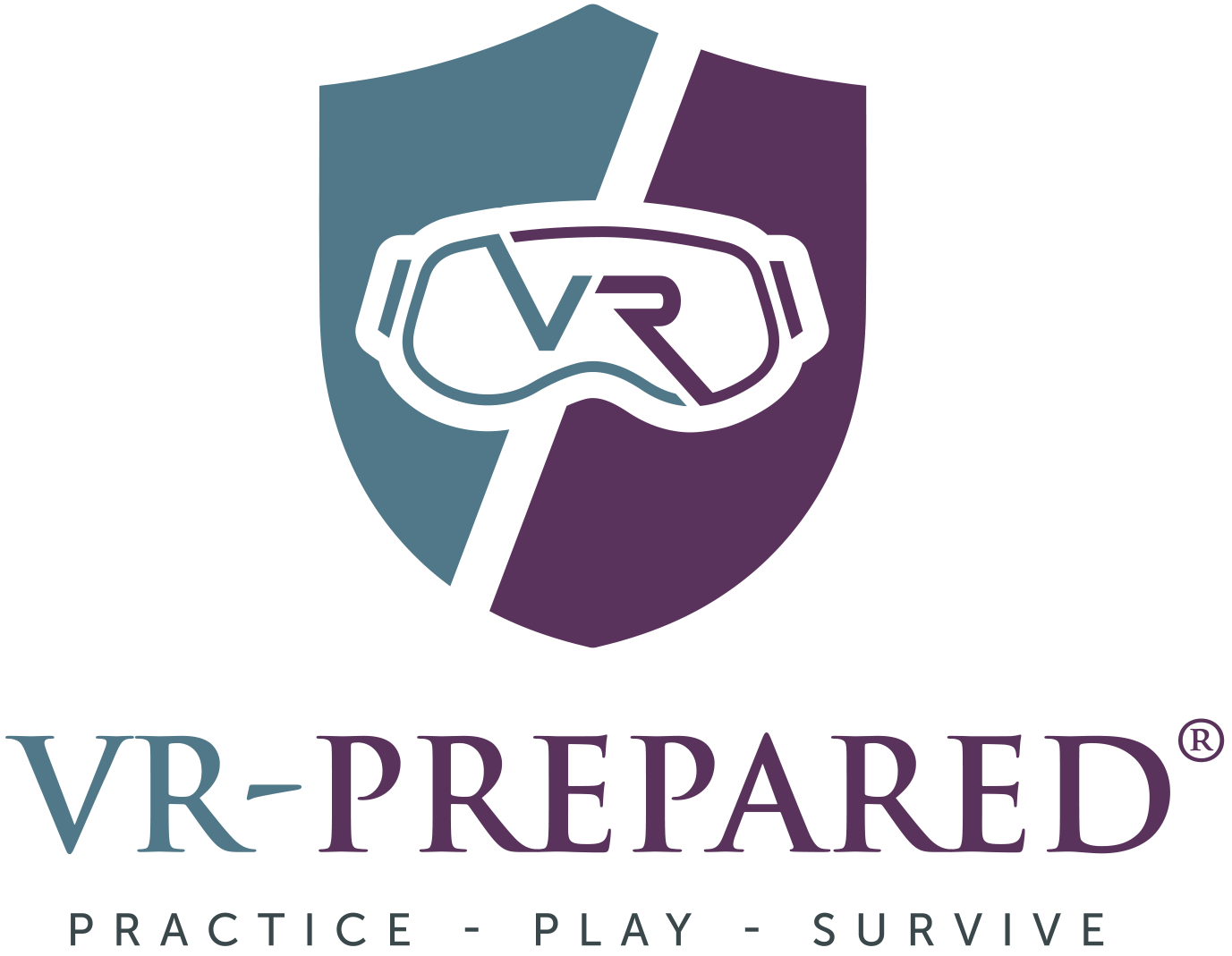 VR-prepared logo
